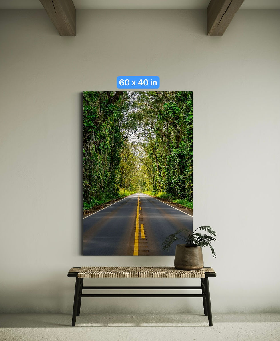 Thumbnail: Tunnels of Trees, Kaua'i 2023