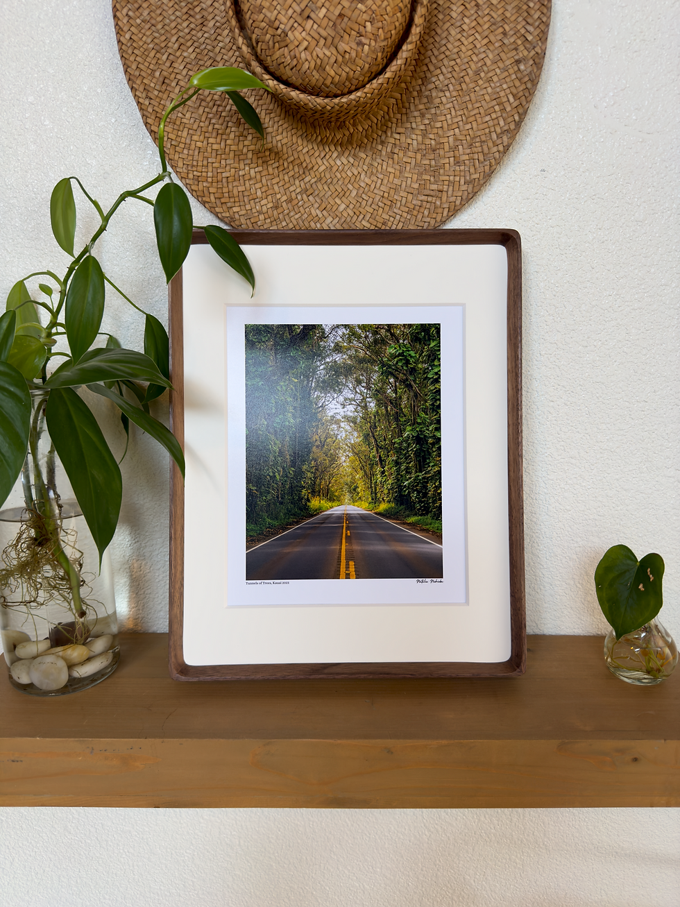 Thumbnail: Tunnels of Trees, Kaua'i 2023
