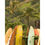 Thumbnail: A photograph of surfboard at pine trees