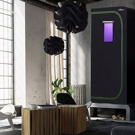 Grow Tent Kits: The Cheap Indoor Setup With Carbon Filter Fan