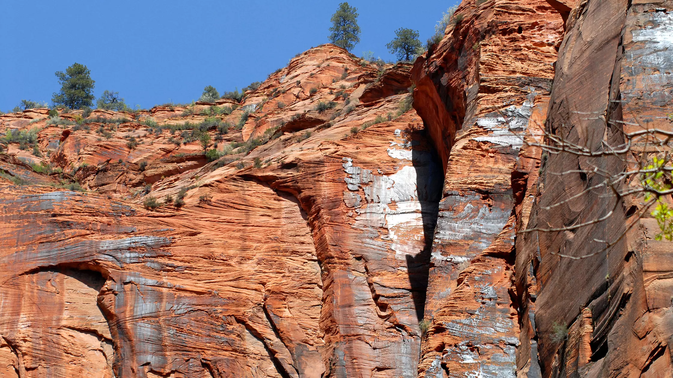 Exclusive Guide Utah Zion National Park