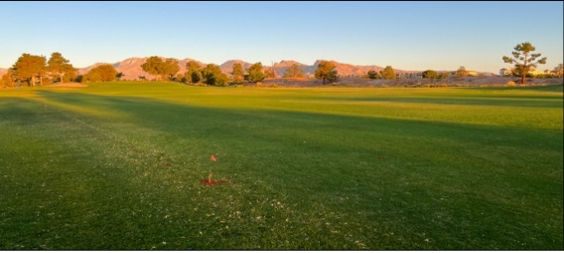 Evaluation of Management Programs for Controlling Annual Bluegrass (Poa annua) on Golf Course in Southern Nevada