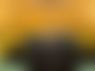 Statement by Ambassador Kyaw Moe Tun, at the General Debate on Agenda Item73: “Report of the International Court of Justice”in the Plenary Meeting of the 80th Session of the UN General Assembly