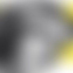 Licenciatura en Composición con Nuevas Tecnologías- Del 31 de marzo del 2009 al 19 de enero del 2009