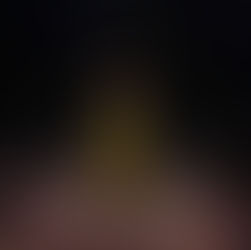 Nina y el misterio de la tortuga