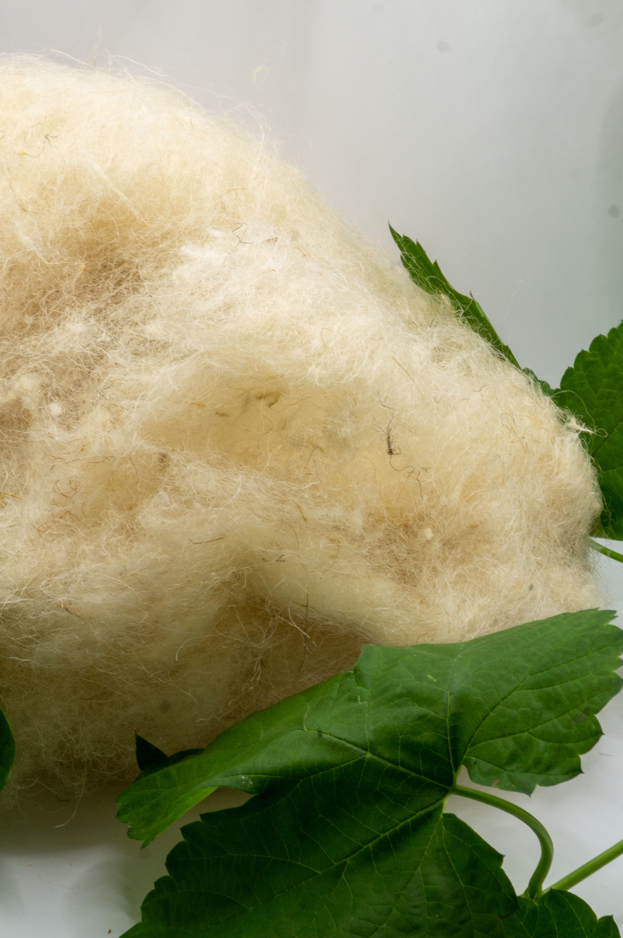 Naturweiße Spinnwolle 100g