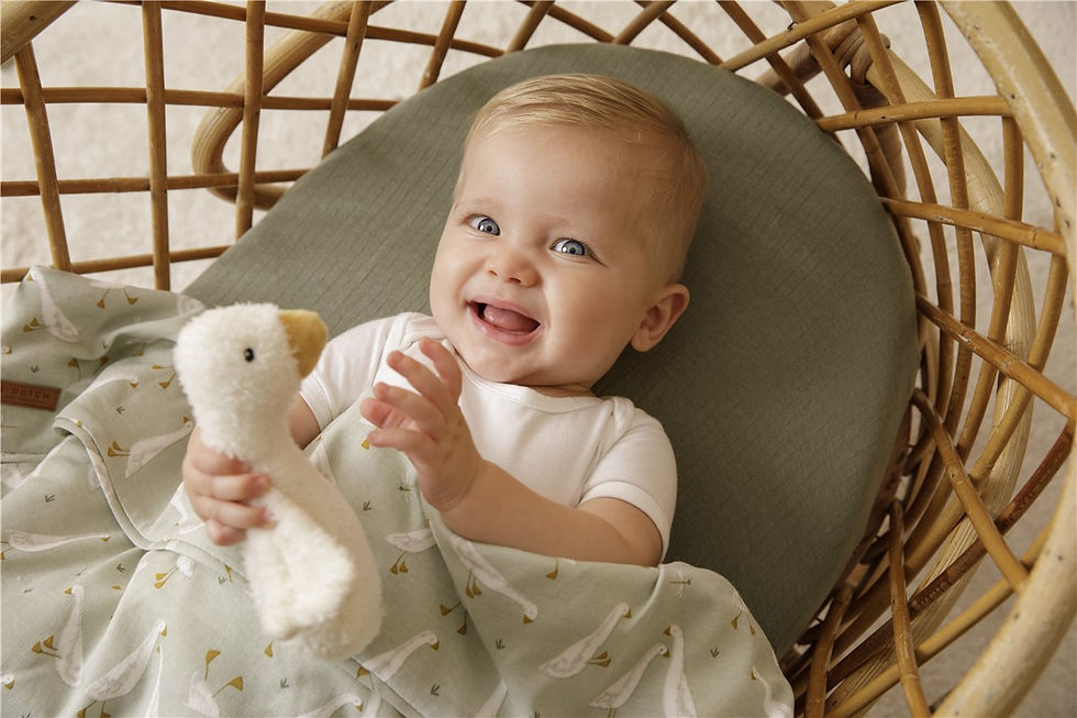 Miniatura: Sonajero Oca