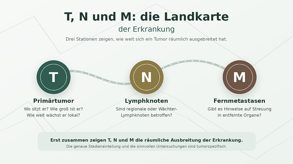 Tabelle mit T, N, M Darstellung