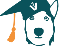 Kooperation mit Krebs beim Hund: Wie du mit Dr. med. vet Kim Hege zur Expertin für die Gesundheit deines Tieres wirst