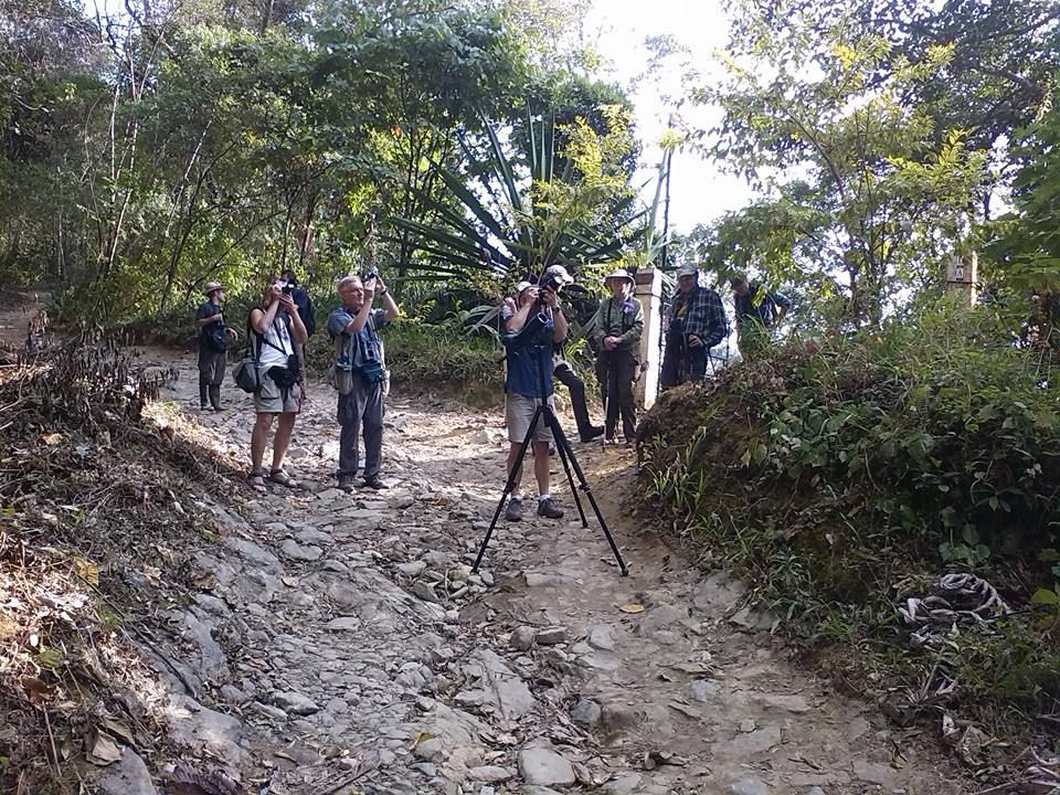 Parques - Silvana Travels