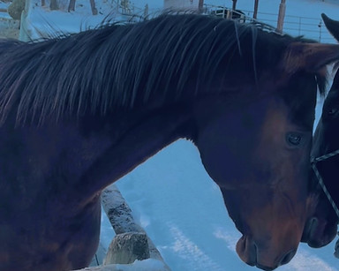 thumbnail_image0 (2).jpg