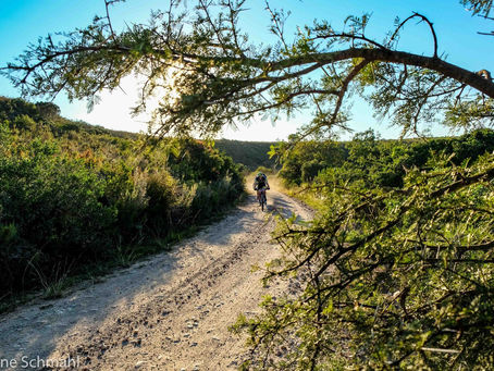Nothing But Praise for the PWC Great Zuurberg Trek : Race Report