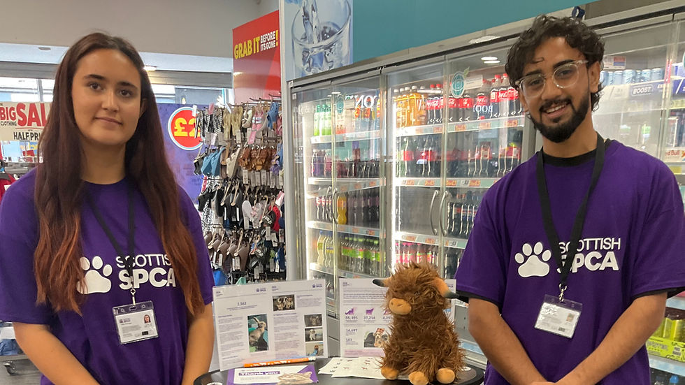 Scottish SCPA Fundraisers