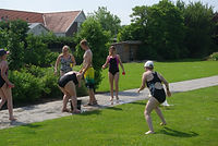 IMGP3100.JPG