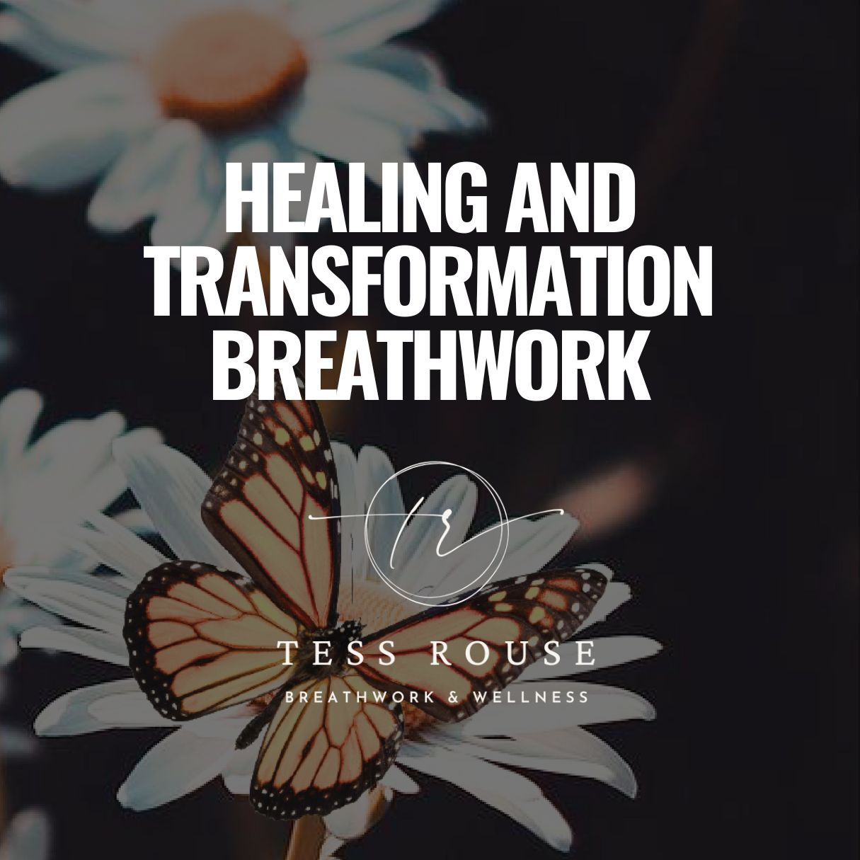 Healing & Transformation Breathwork