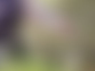 The Best Reiki Practitioners Don’t Have Perfect Lives