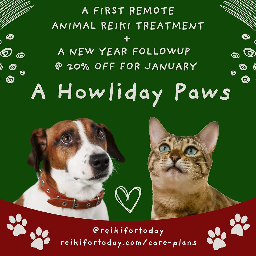 Green and red image of a dog and cat looking up at the text "A Howliday Paws," with additional text "A first remote animal reiki treatment + a new year followup @ 20% off for January," and a link to reikifortoday.com/care-plans and Instagram handle @reikifortoday