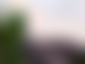 How Can You Spot A Bad Roofing Company?