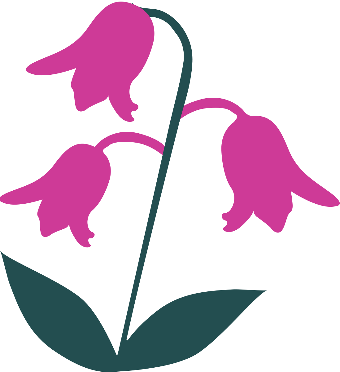 Animated graphic illustration of three purple flowers with two green leaves