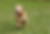 Lieblingsbild_edited_edited.png
