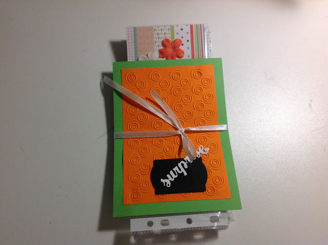 Des hiboux pour Cathy