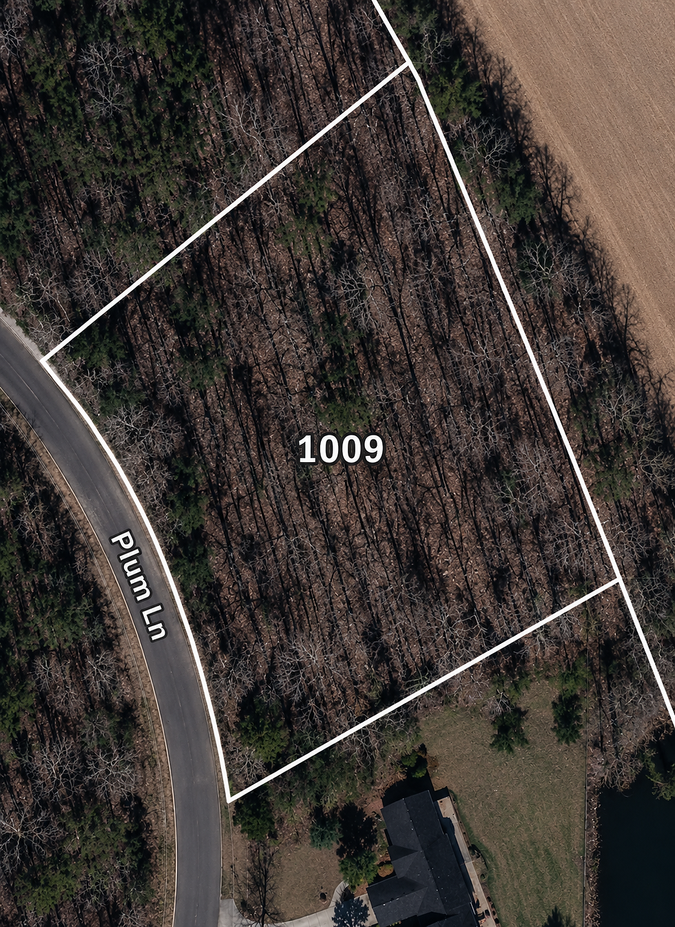 lot-wooded-1-vj_1t5CE.jpg