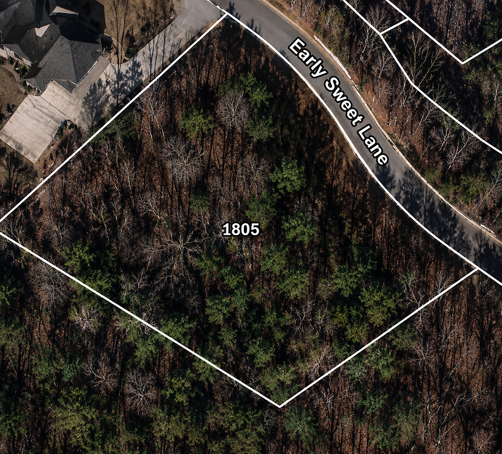 lot-wooded-1-vj_1t5CE.jpg