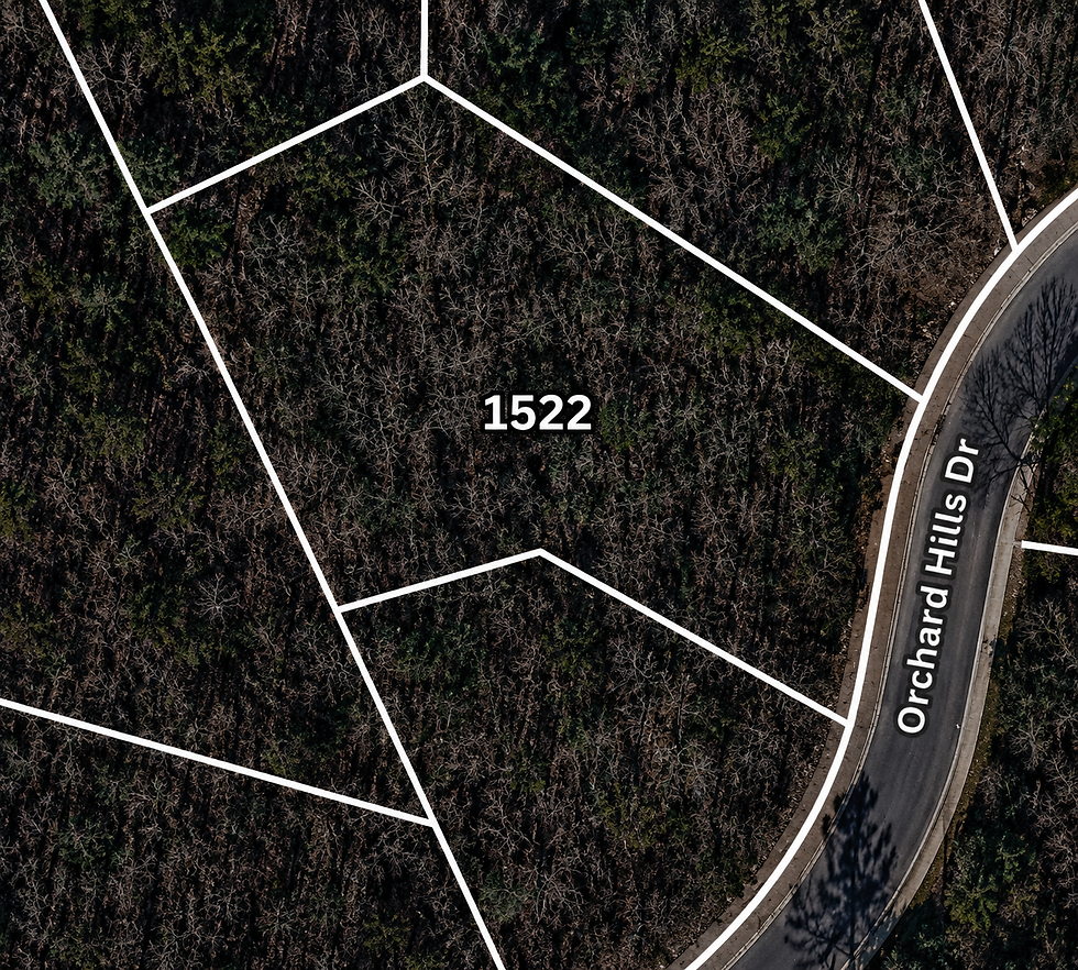 lot-wooded-1-vj_1t5CE.jpg