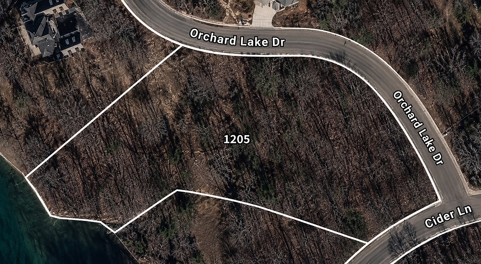 lot-wooded-1-vj_1t5CE.jpg