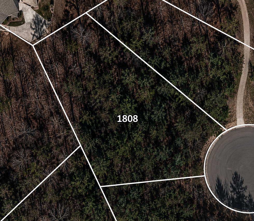 lot-wooded-1-vj_1t5CE.jpg