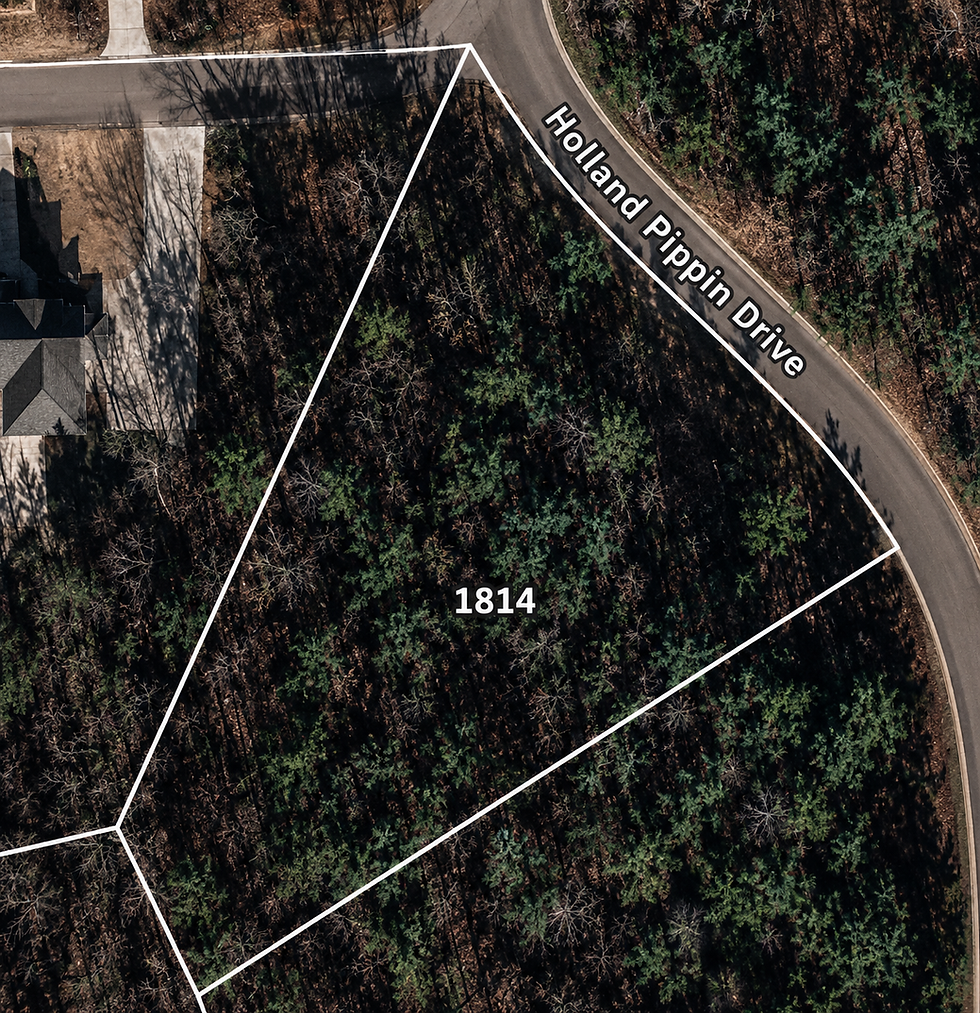 lot-wooded-1-vj_1t5CE.jpg