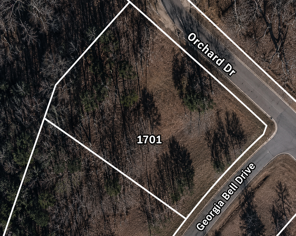 lot-wooded-1-vj_1t5CE.jpg