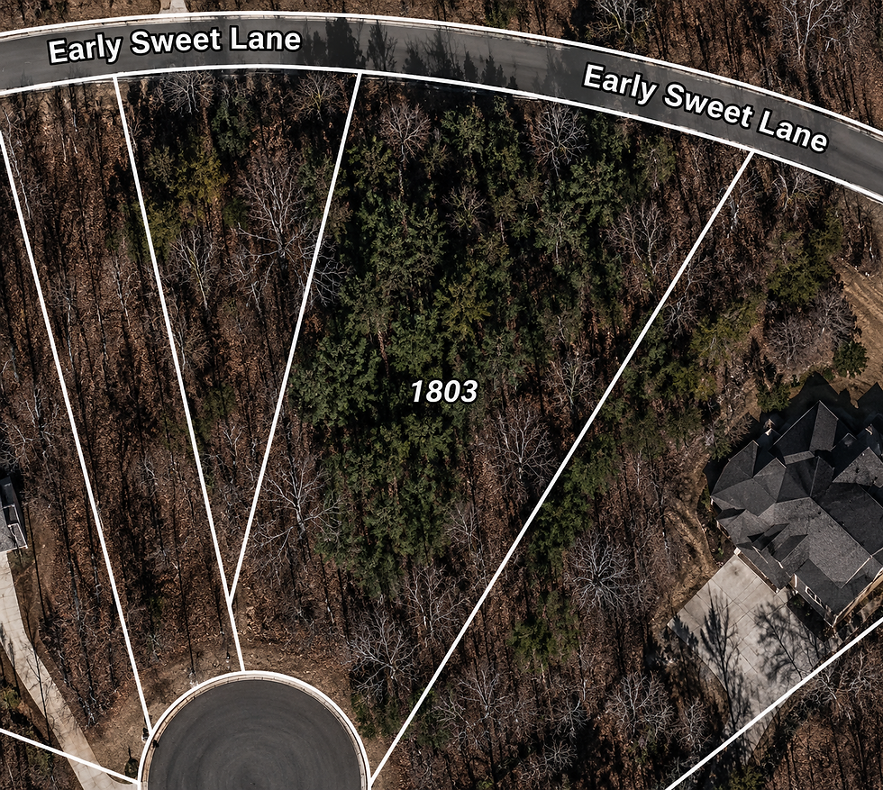 lot-wooded-1-vj_1t5CE.jpg