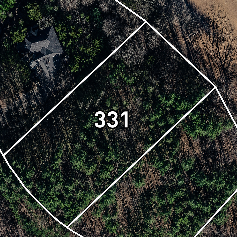 lot-wooded-1-vj_1t5CE.jpg