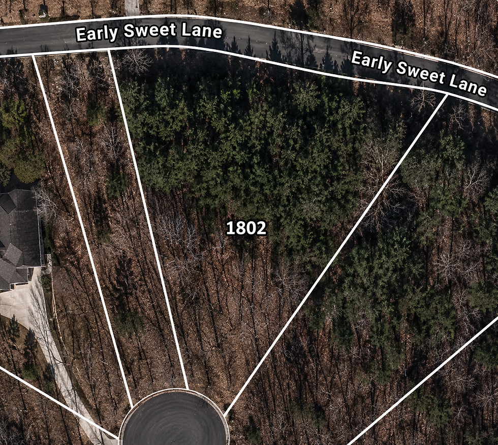 lot-wooded-1-vj_1t5CE.jpg