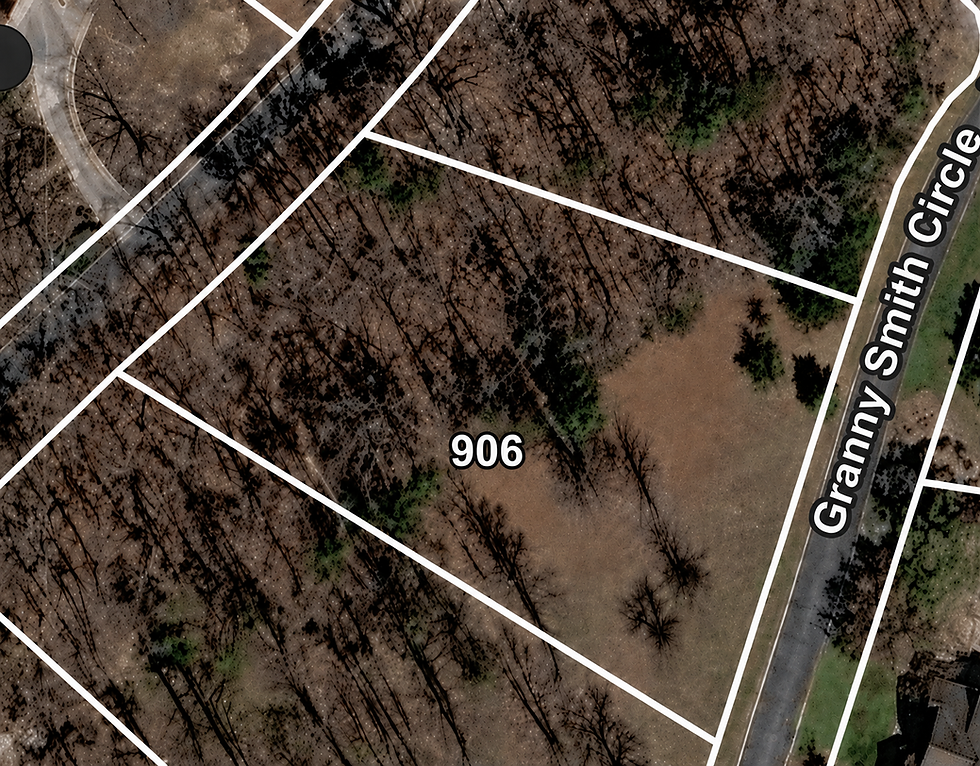 lot-wooded-1-vj_1t5CE.jpg