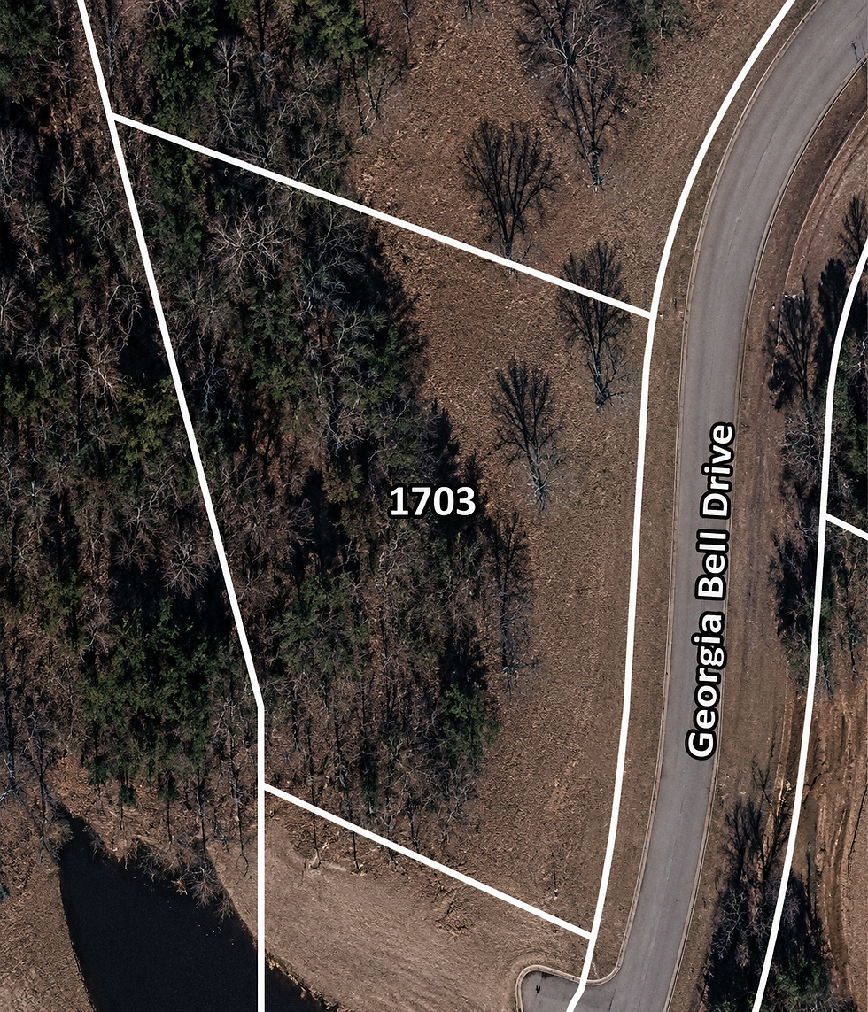 lot-wooded-1-vj_1t5CE.jpg