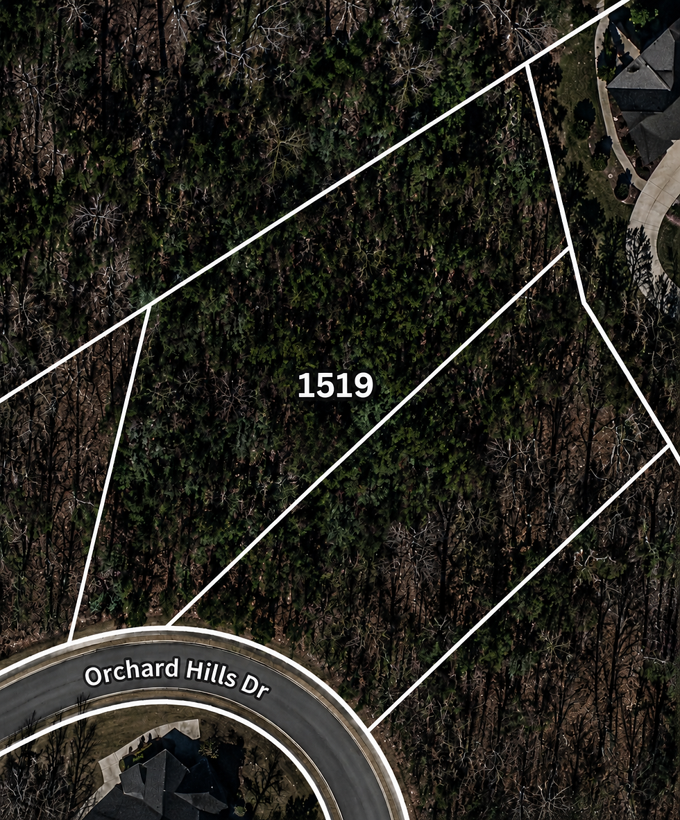 lot-wooded-1-vj_1t5CE.jpg