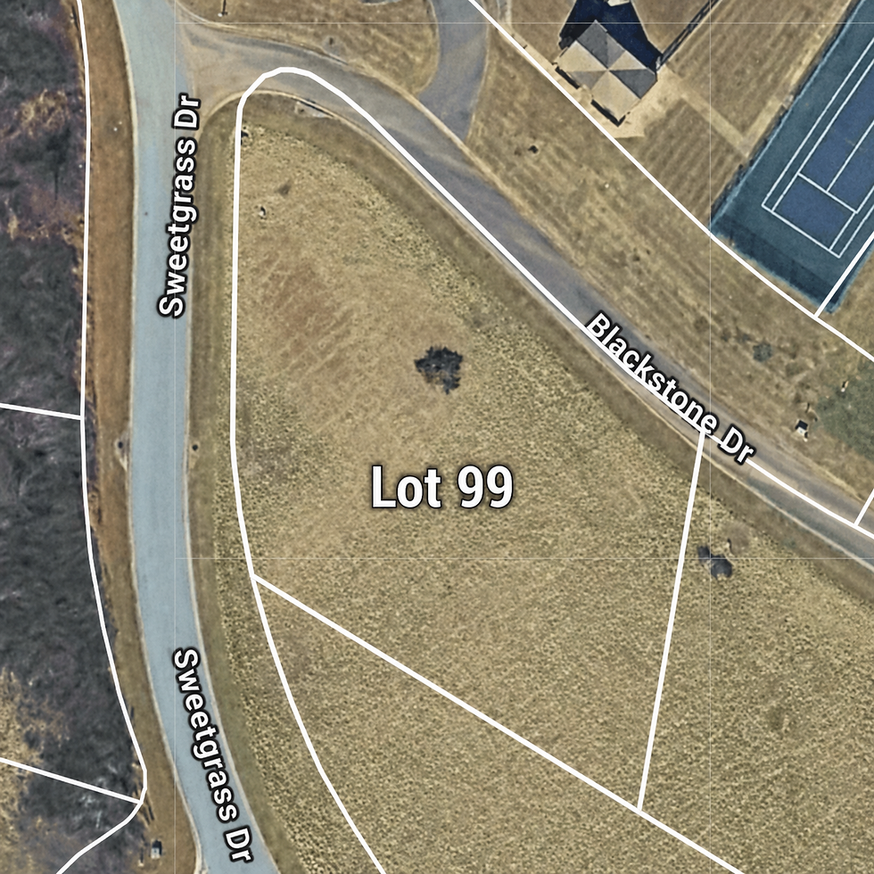 Lot 99