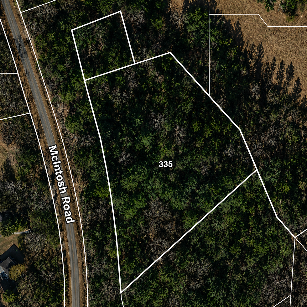 lot-wooded-1-vj_1t5CE.jpg