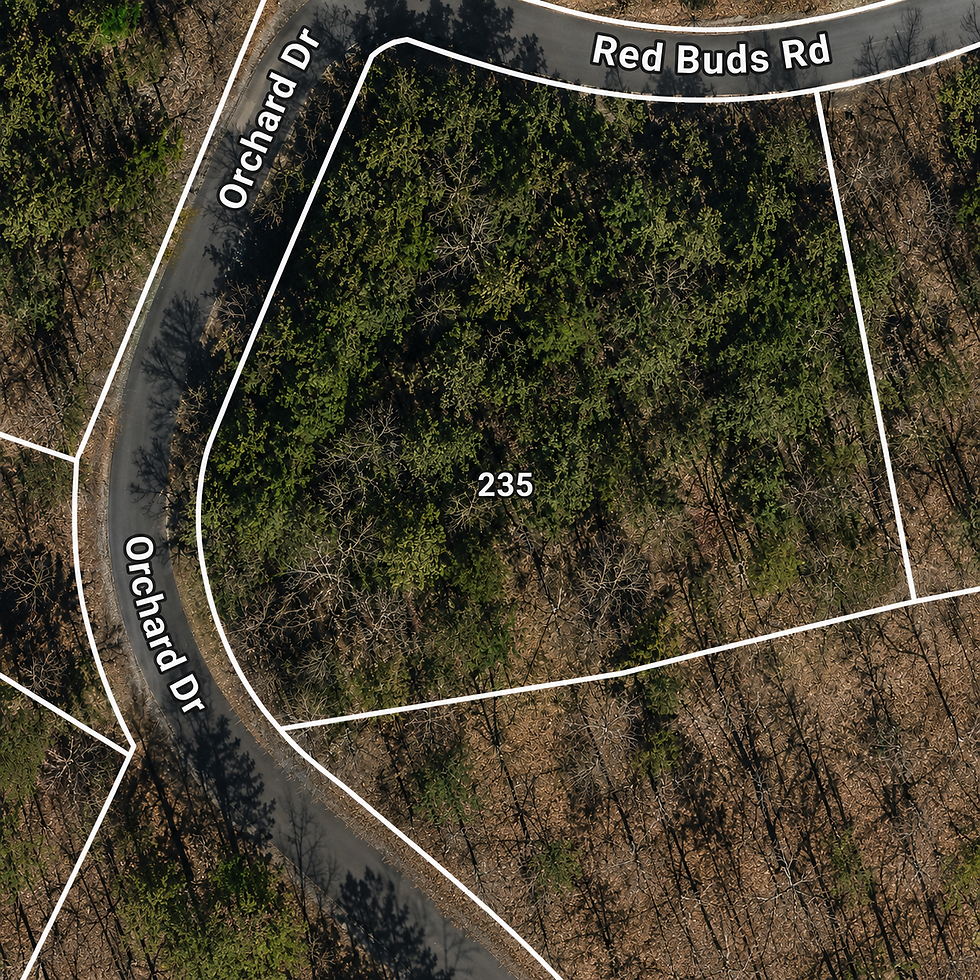 lot-wooded-1-vj_1t5CE.jpg