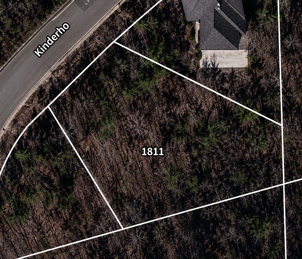 lot-wooded-1-vj_1t5CE.jpg