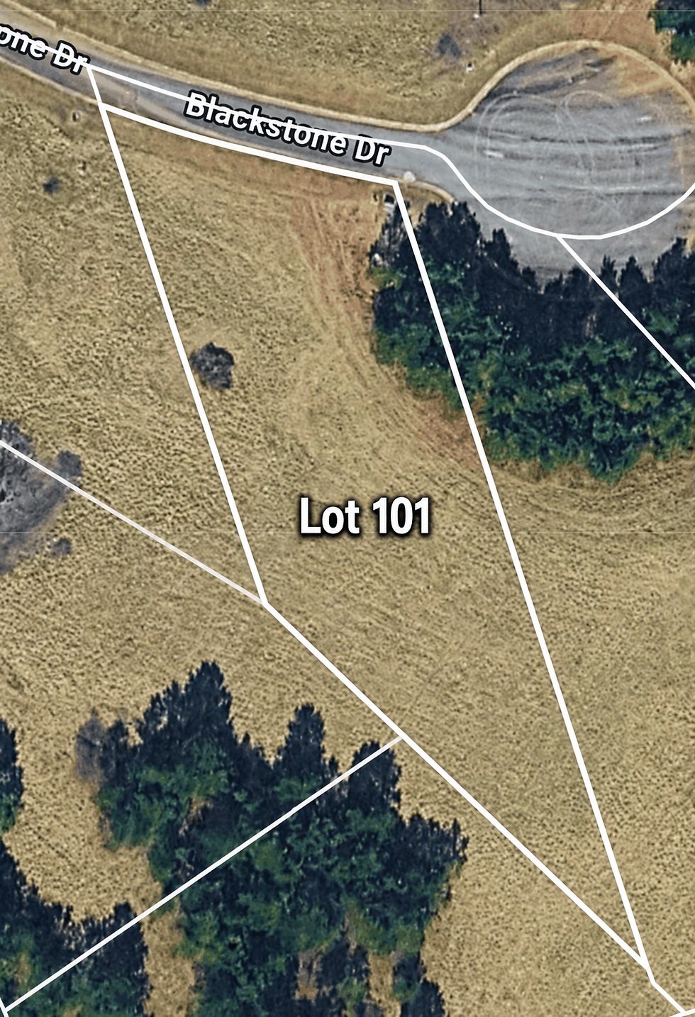 Lot 101
