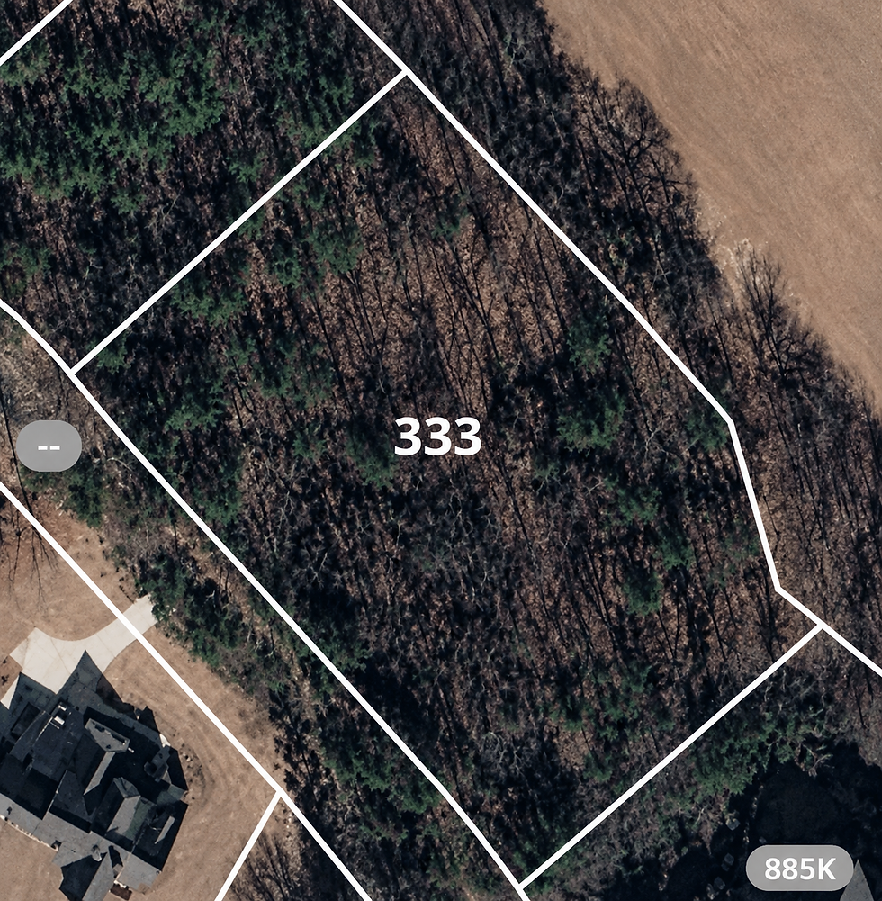 lot-wooded-1-vj_1t5CE.jpg