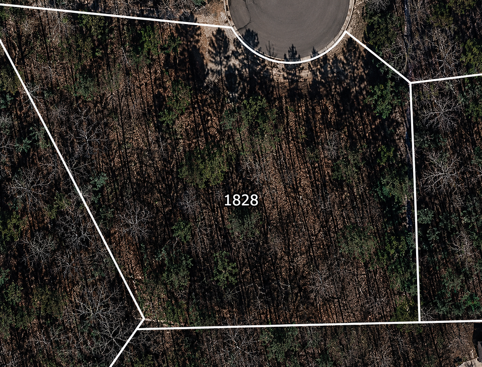 lot-wooded-1-vj_1t5CE.jpg