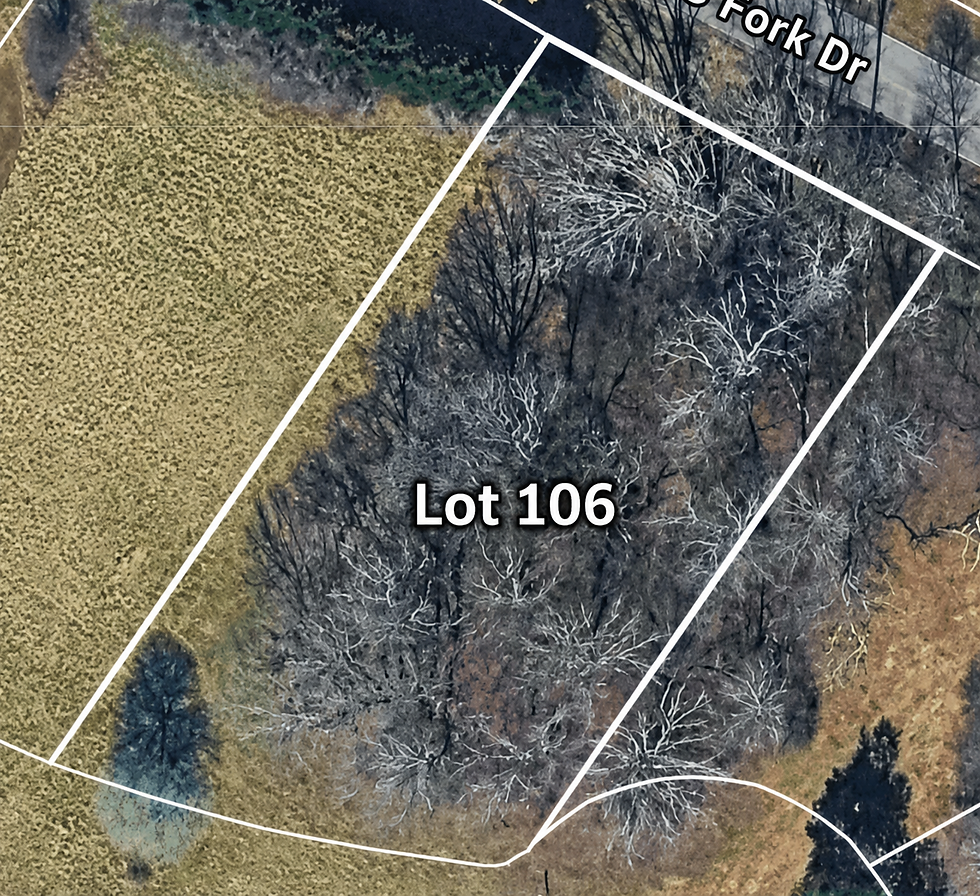 Lot 106