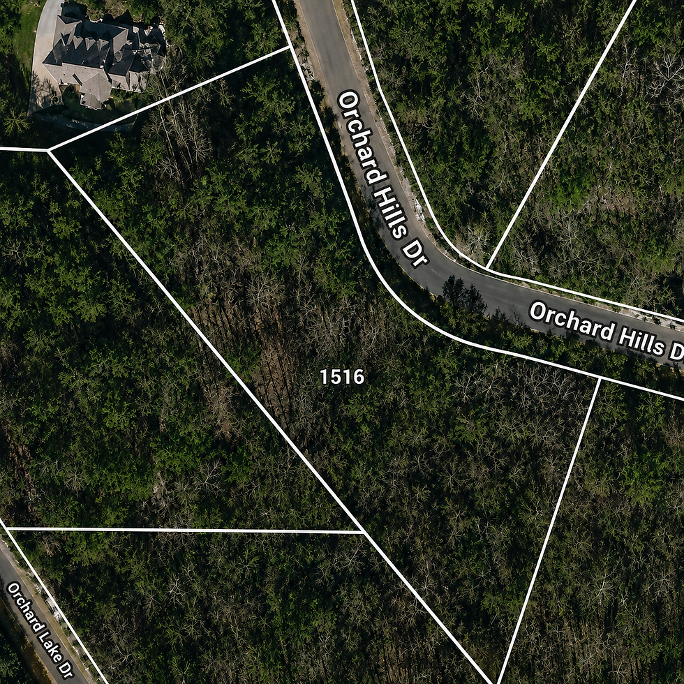 lot-wooded-1-vj_1t5CE.jpg
