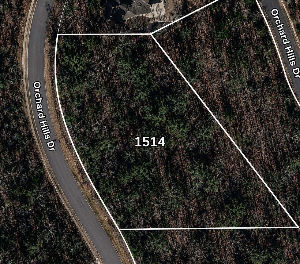 lot-wooded-1-vj_1t5CE.jpg