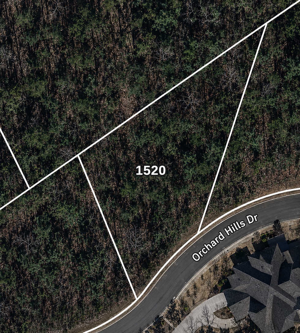 lot-wooded-1-vj_1t5CE.jpg