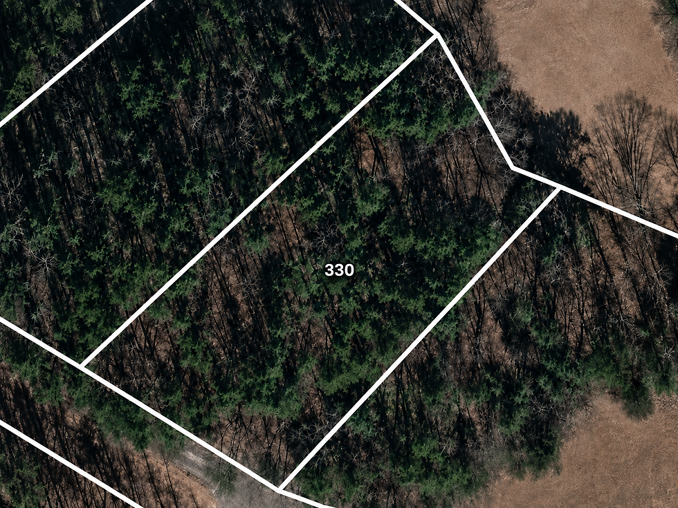 lot-wooded-1-vj_1t5CE.jpg